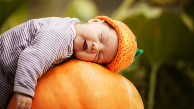 CDC Guidelines for Halloween and Thanksgiving
